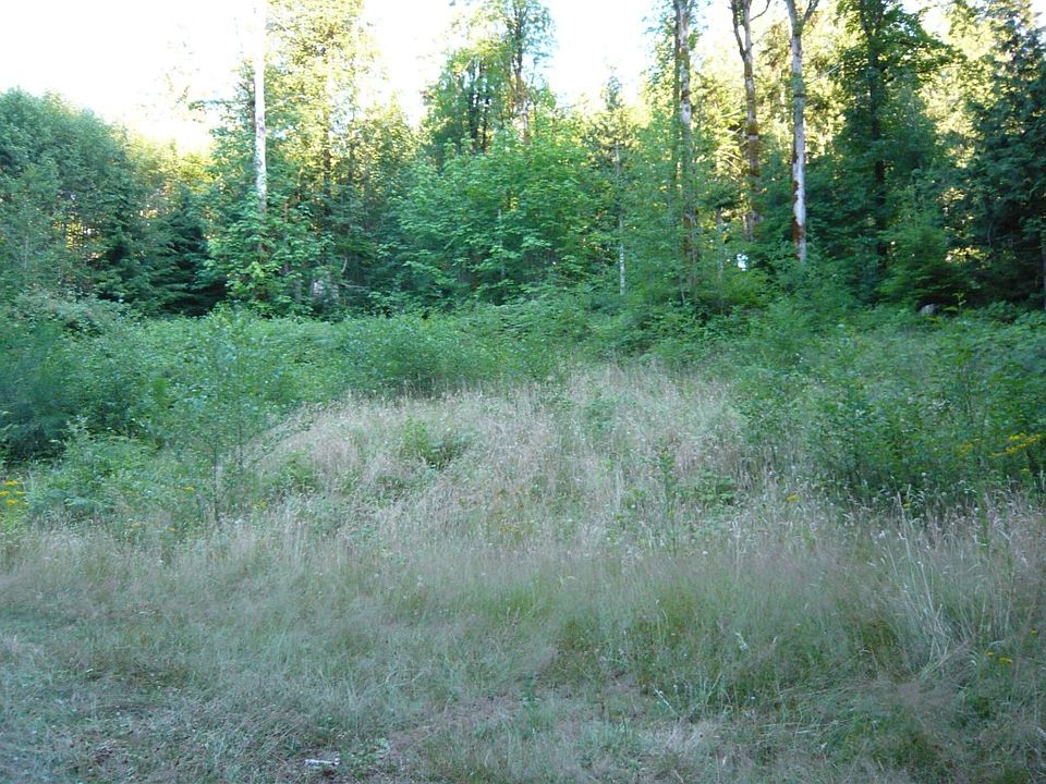 2nd image of 290 Elk Dr