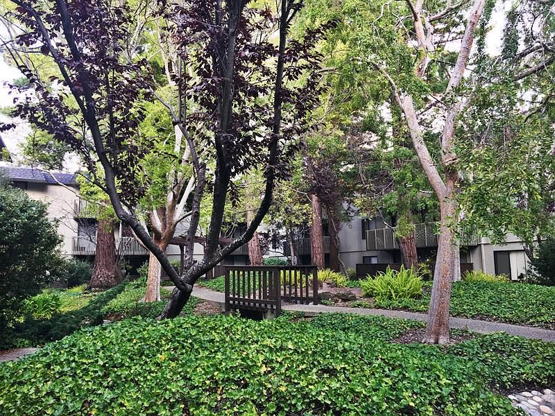 1st image of 2323 Shelter Creek Ln