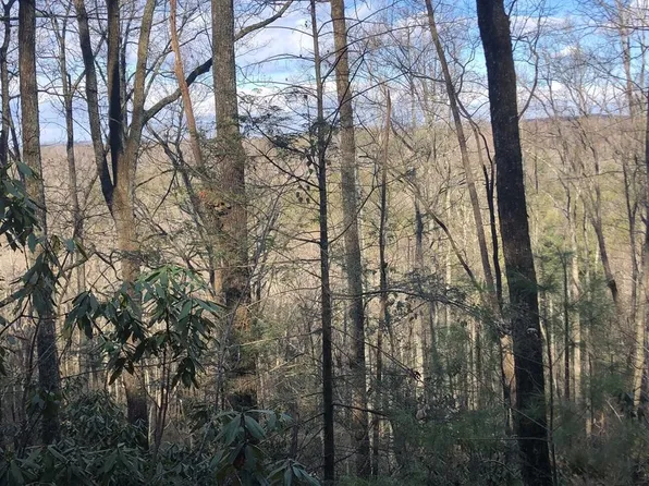450 Holder Cemetery Rd, Tellico Plains, TN 37385