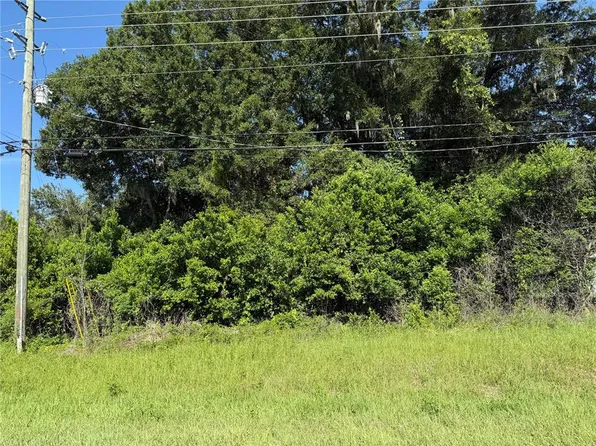 SE 35th Ct Lot 63, Summerfield, FL 34491