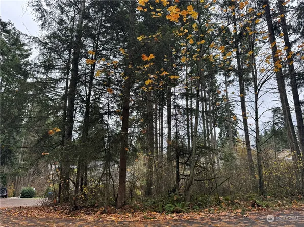 17624 Valley Lane SE, Yelm, WA 98597