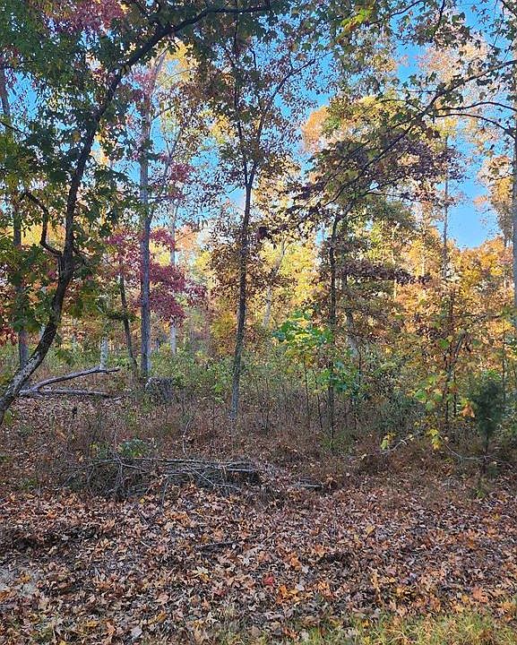 2nd image of 0 Mount Pleasant Freeland Rd