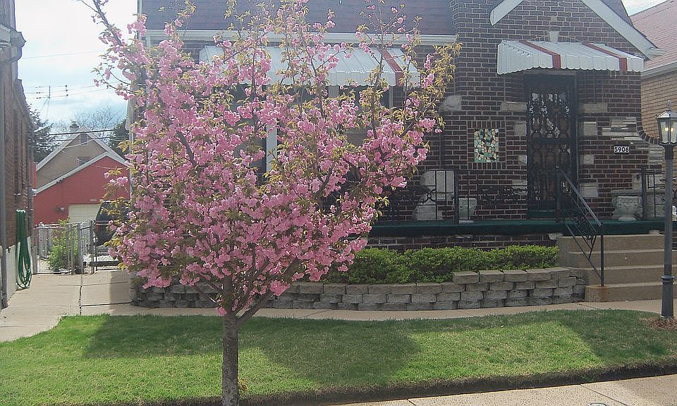 2nd image of 5906 Dressell Ave