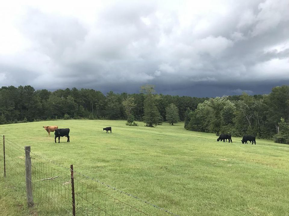 EXCELLENT GRAZING!