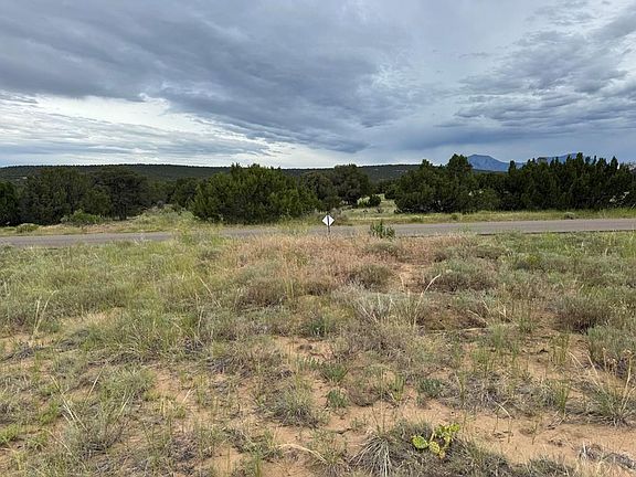 4th image of L2 B Black Diamond Dr #8