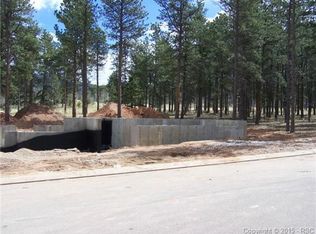 1183 Ptarmigan Dr, Woodland Park, CO 80863