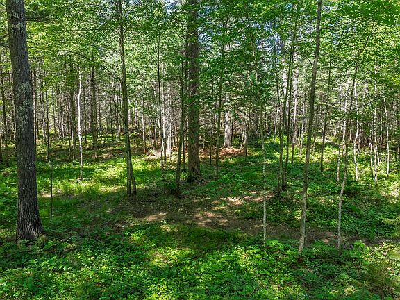 4th image of 10993 Patrice Pines Ln