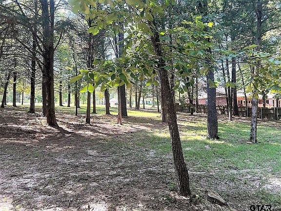 3rd image of LOT 64 County Road 2317