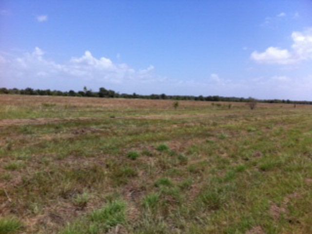 2nd image of 4945 County Road 208