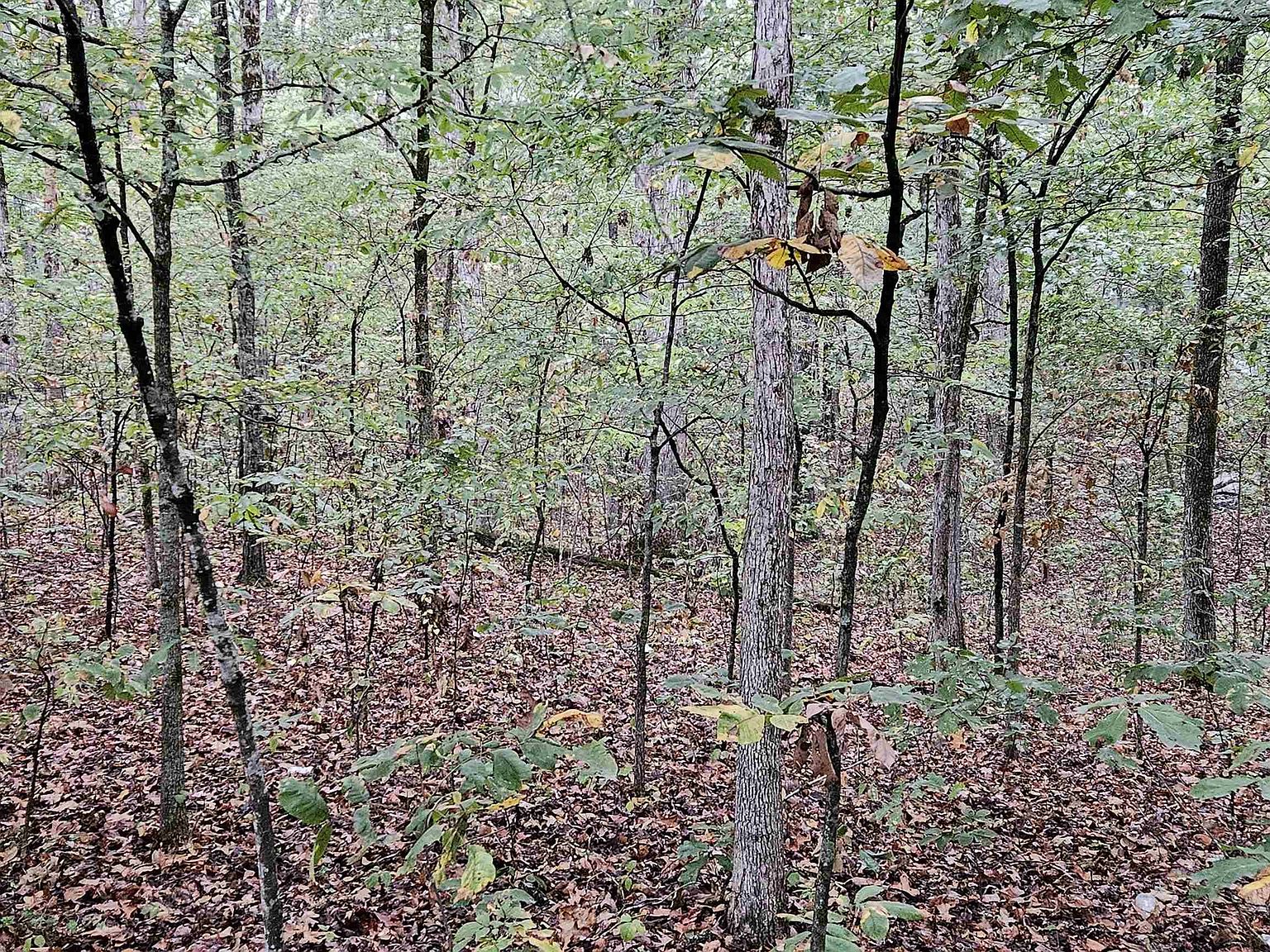 17 Twenty Loomis Landing Road 35/t 2n/r S04W, De Valls Bluff, AR