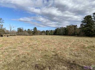 42378 Moody Dixon Rd #LOT, Prairieville, LA 70769