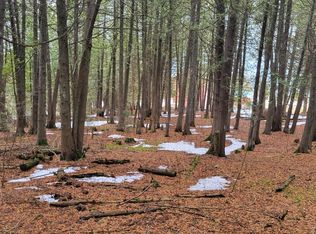 Democrat Rd, De Tour Village, MI 49725