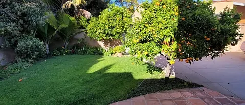 1558 S Carmelina Ave — Photo 3