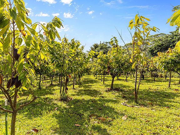 3rd image of 27-1731 Aleamai Rd #2-lot 6-D