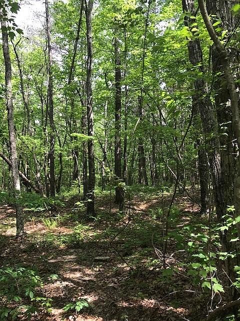 1st image of 462 Mulberry Ln Lot 0