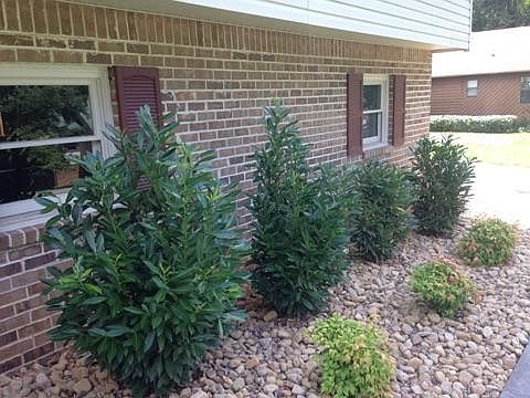 4th image of 3125 Vista Dr NW