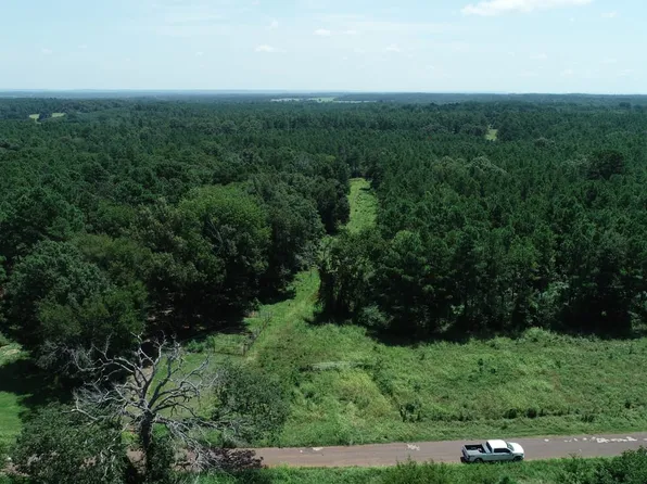 TRACT Three County Rd #379, Palestine, TX 75801