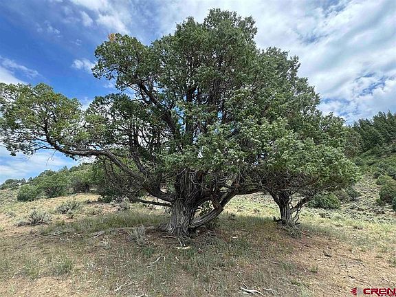 3rd image of 2241 S Rockcliff Circle