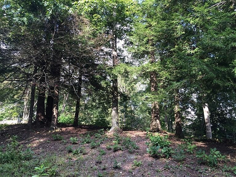 2nd image of 25 Spring Gate Dr