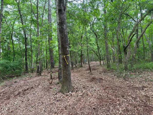 0 Chaplins Landing Rd Lot 2, Hollywood, SC 29449