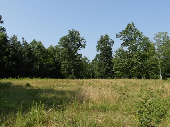 0 Pleasant Hill Cemetery Ln, Gainesboro, TN 38562