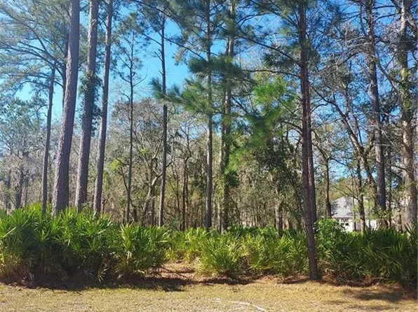 LOT 119 Saint Andrews Gln, Waverly, GA 31565