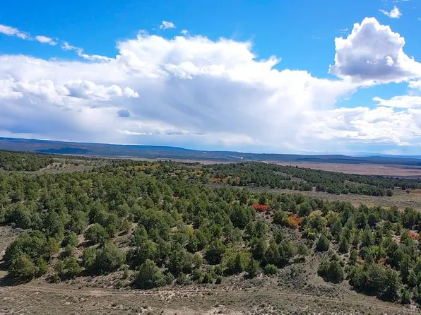 84/64 Highway 84/64, Tierra Amarilla, NM 87575