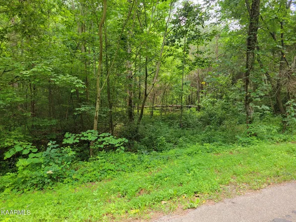 587 Ballplay School Rd, Tellico Plains, TN 37385