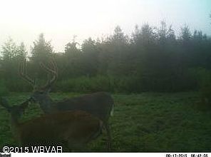 2nd image of Flooks Run Road