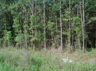 260 Tbd Hwy, Manning, SC 29102