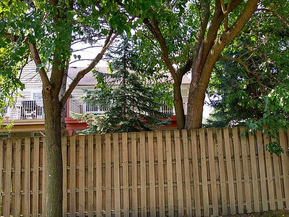 View of backyard from Naperville Road.