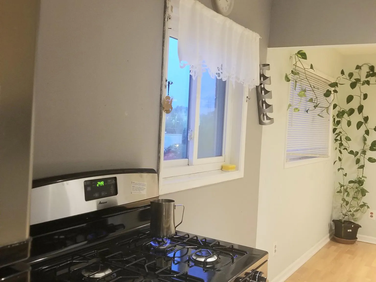 1 bed, 771 sqft, $1,475 — Photo 3
