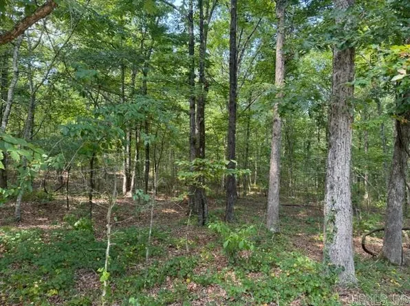 0 Reece Creek Rd, Bigelow, AR 72016