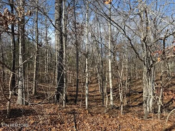 123 Walden Ridge Dr, Fairfield Glade, TN 38558