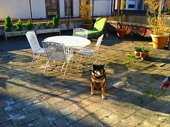 Rented by Keller Williams NYC