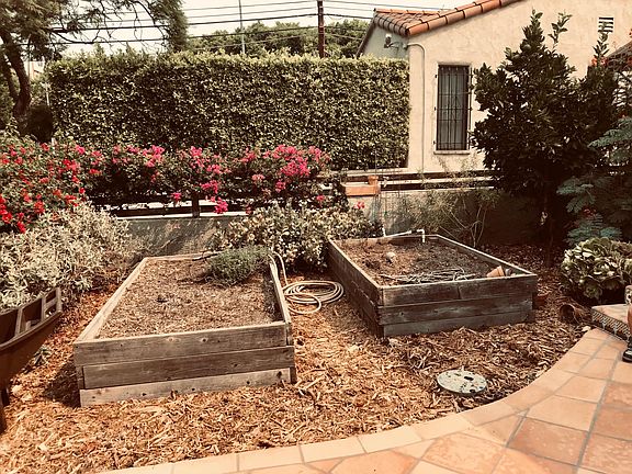 Raised garden beds ready for planting and an orange tree