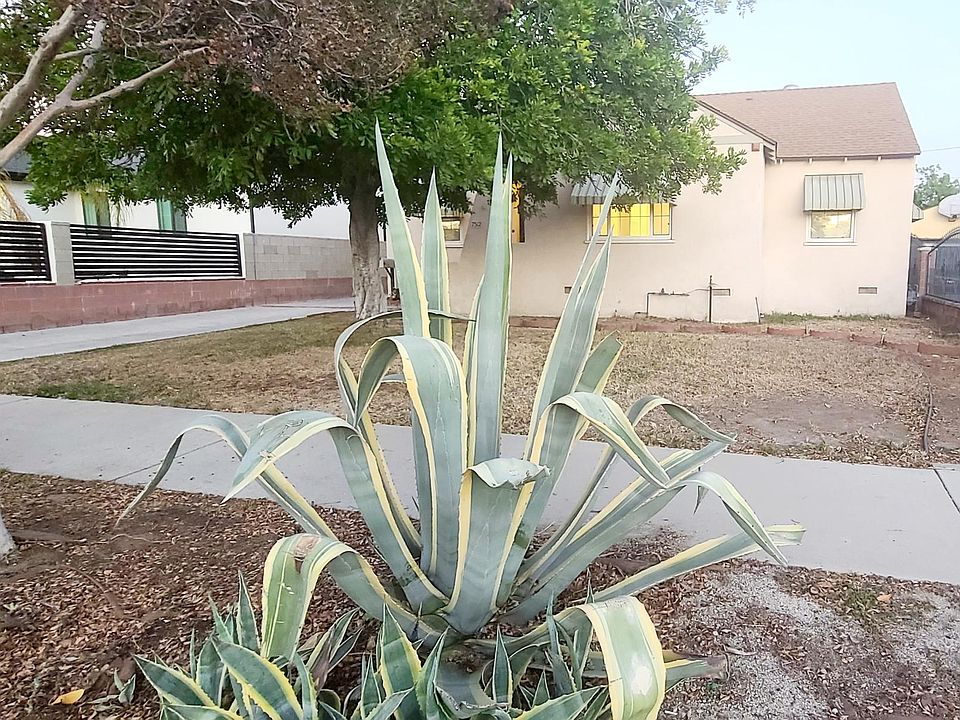 1st image of 7512 Camellia Ave