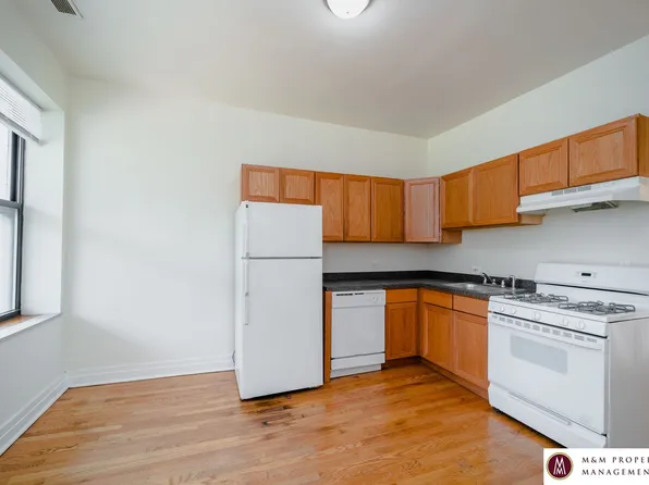 1117 Racine, 1117 S Racine Ave #1R, Chicago, IL 60607