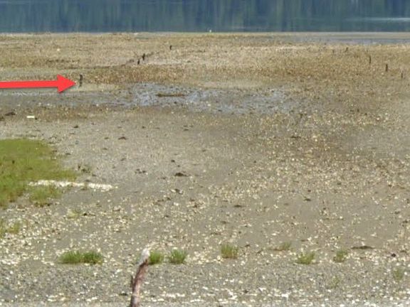 4th image of 281 N Olympic Trails Dr
