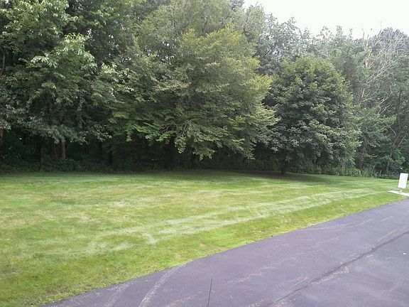 view of back yard