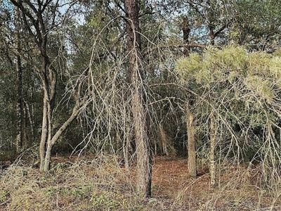 1379 N Hajik Path, Lecanto, FL, 34461