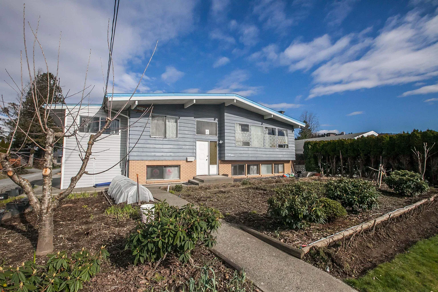 7017 Kitchener St photo 1