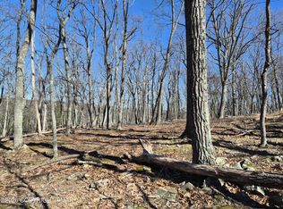 Sunlight Dr #11, Henryville, PA 18332