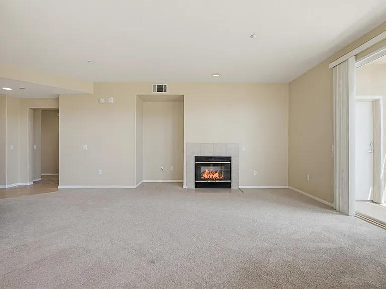 823 Kalpati Cir #201 — Photo 21