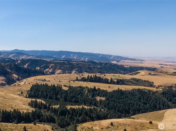 5112 Lewis Peak Road, Waitsburg, WA 99361