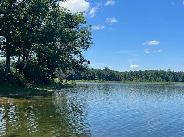 E Madison Rd, Walkerville, MI 49459