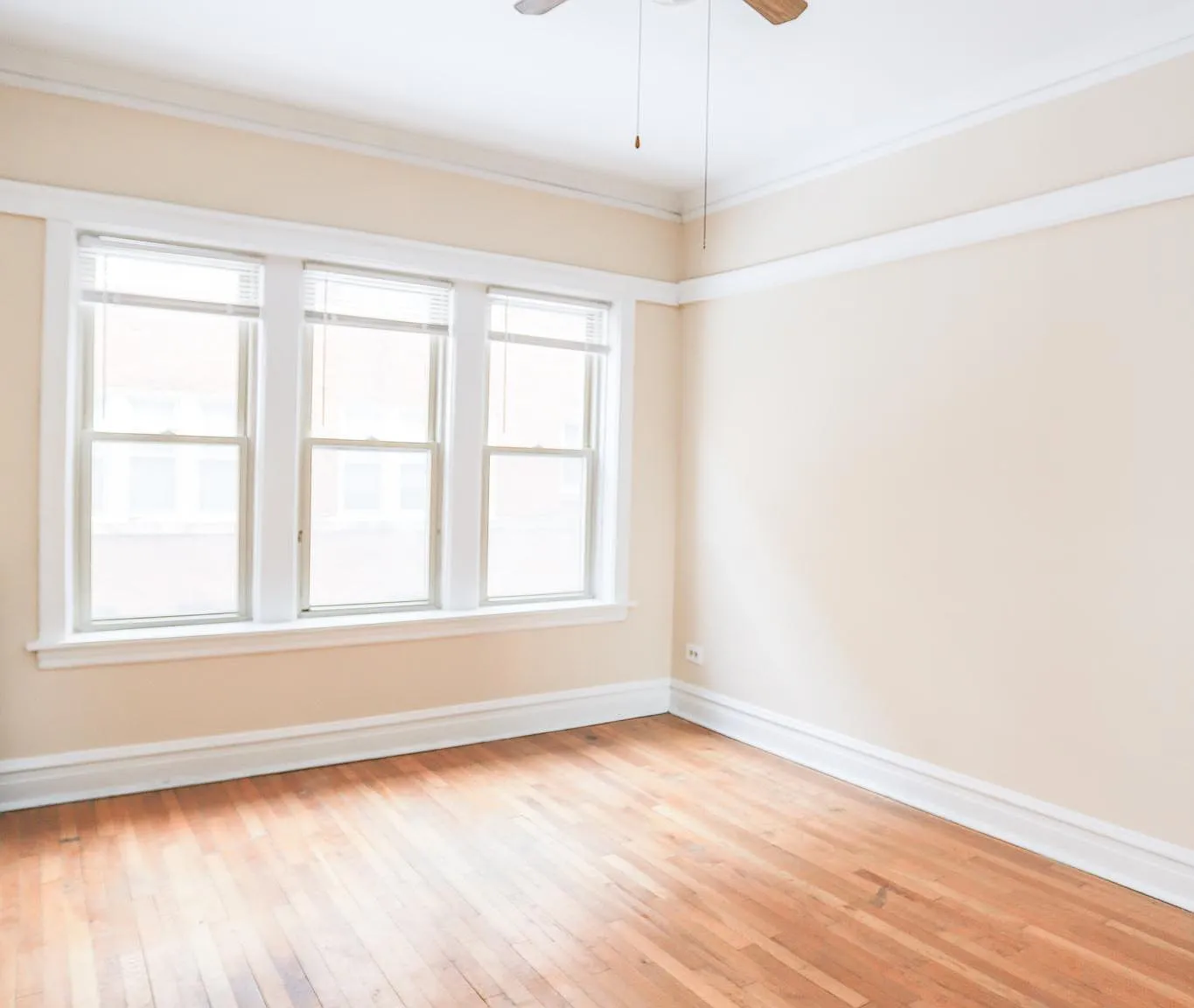 Studio, $1,300 — Photo 4