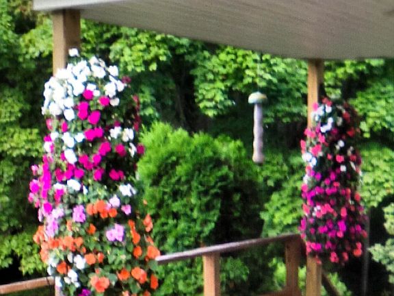 4th image of N4392 School House Rd