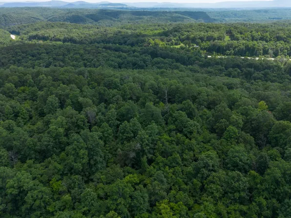 333 Lime Dr, Cushman, AR 72526