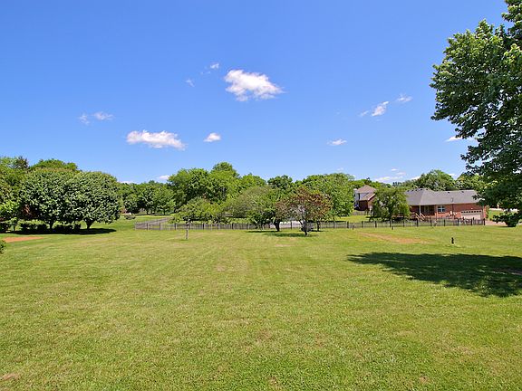 Large backyard. Great garden spot